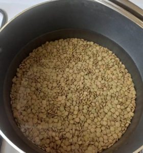 دستور پخت عدس پلو مجلسی بدون گوشت